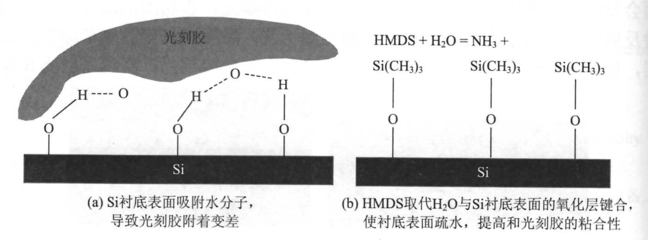 光刻HMDS介绍与应用